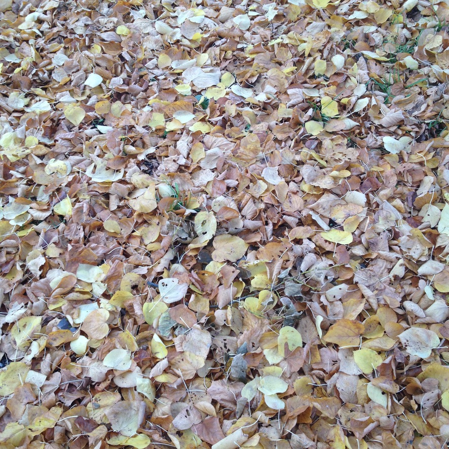 Dialektik von Gutsformen und Frieden