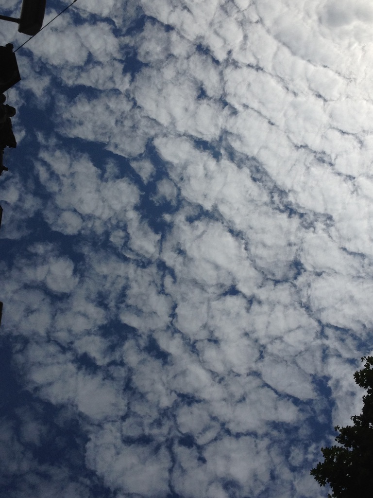 Gebt uns Zeit zum Lesen