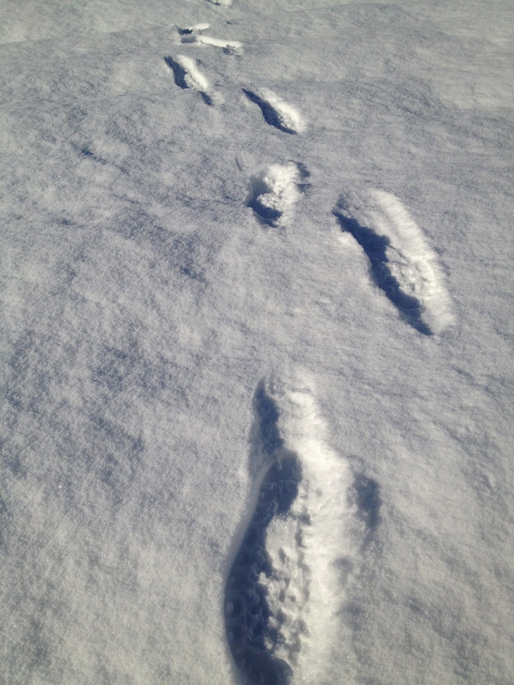 weil die Messung von 0 nicht erfolgen kann