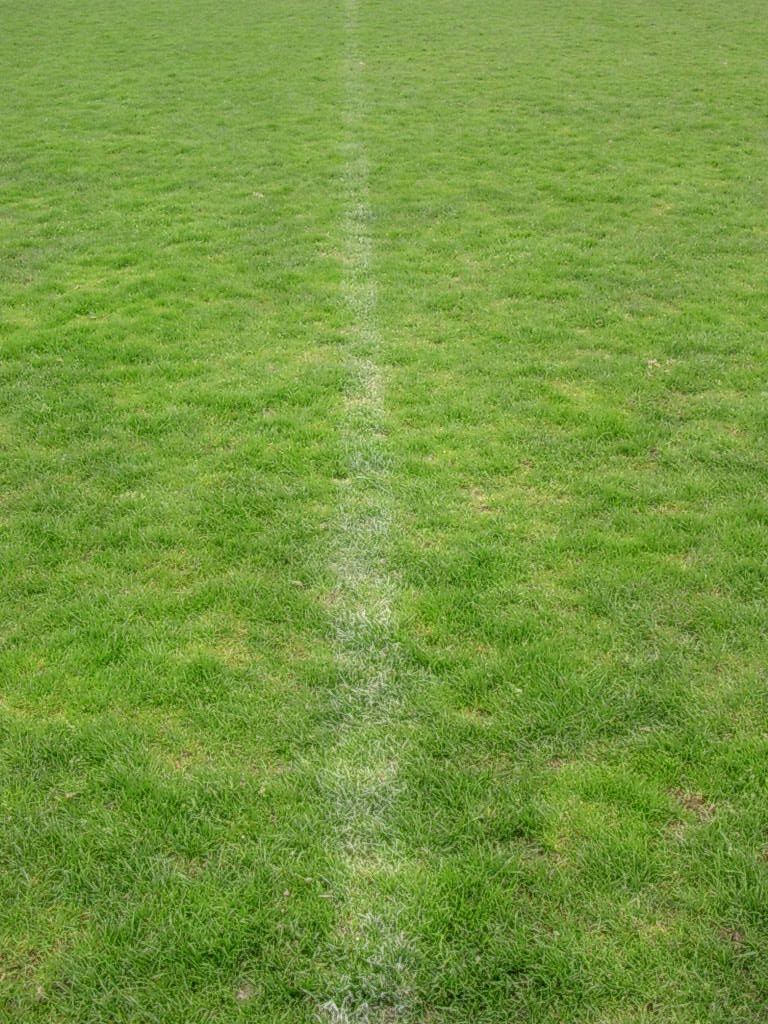 Fußball – ein Spiel für IdiotInnen? – Teil 2: Aus Sicht der ZuschauerIn