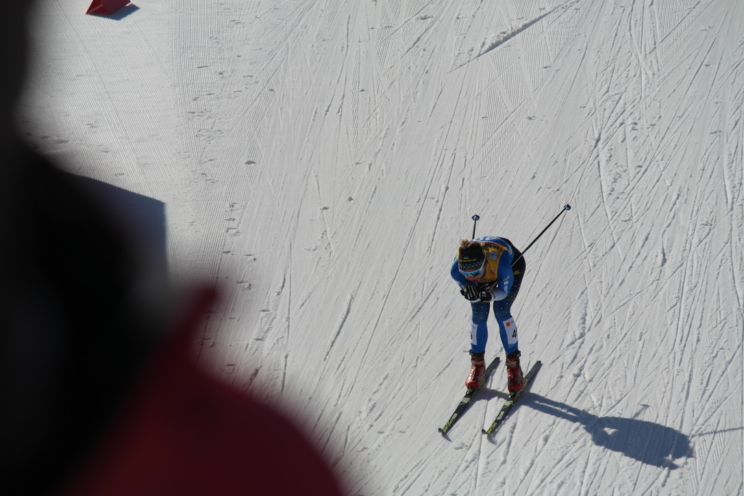 Die schöne Langläuferin