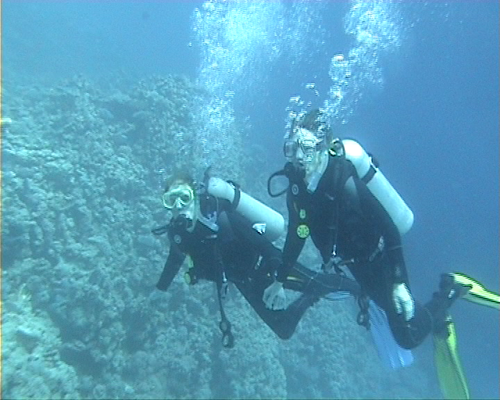 Empathie und bedingungslose Liebe bedingen einander