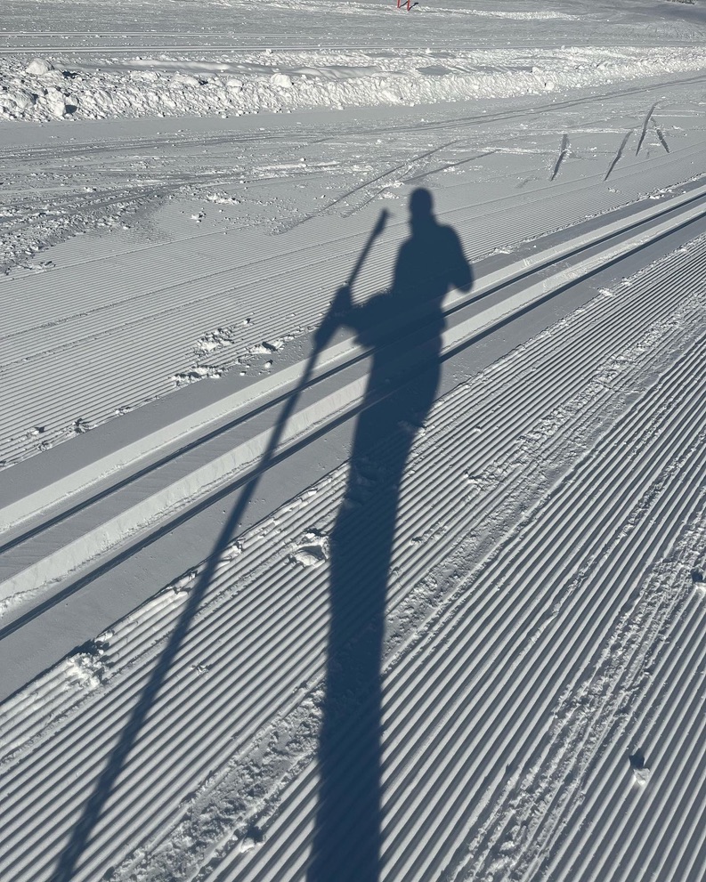 Über die „bedingungslose Liebe“