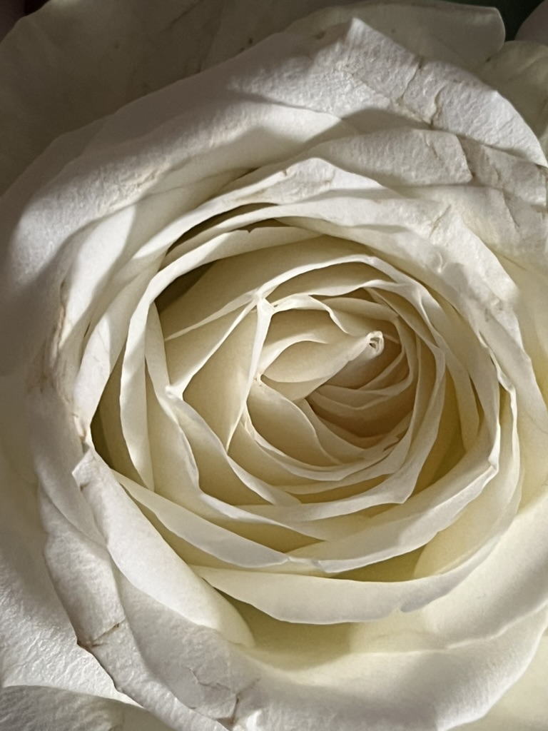 Macht, Kritikfähigkeit & Entwicklung