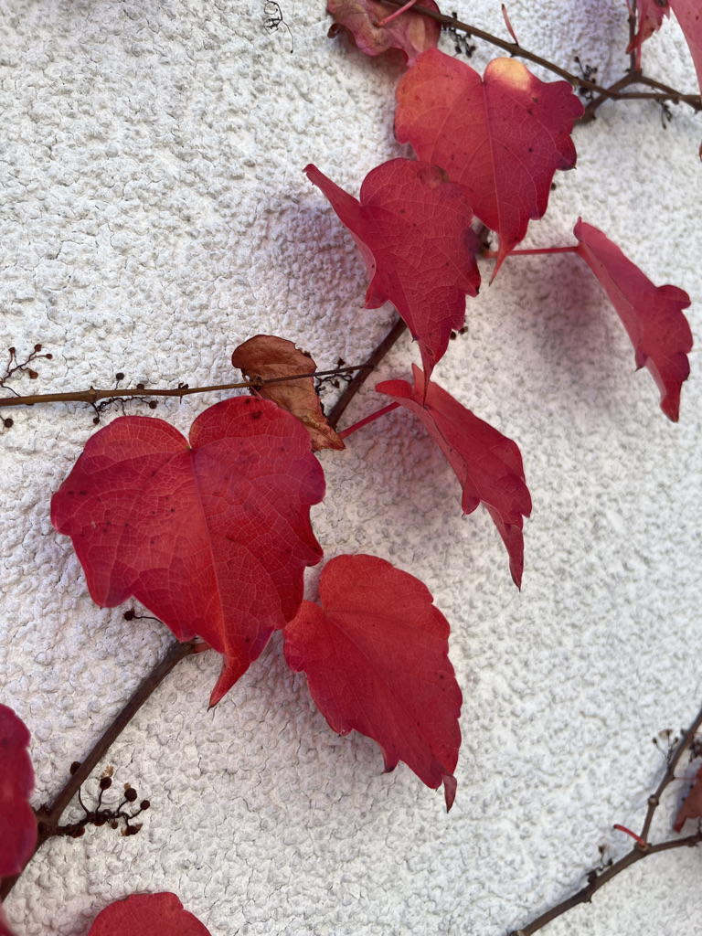 Vertrauen kannst Du nicht testen