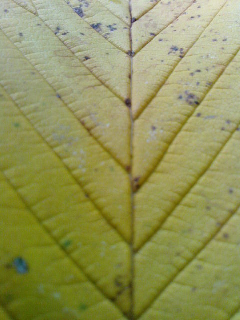 Über den Zauber von Liebe & Intimität