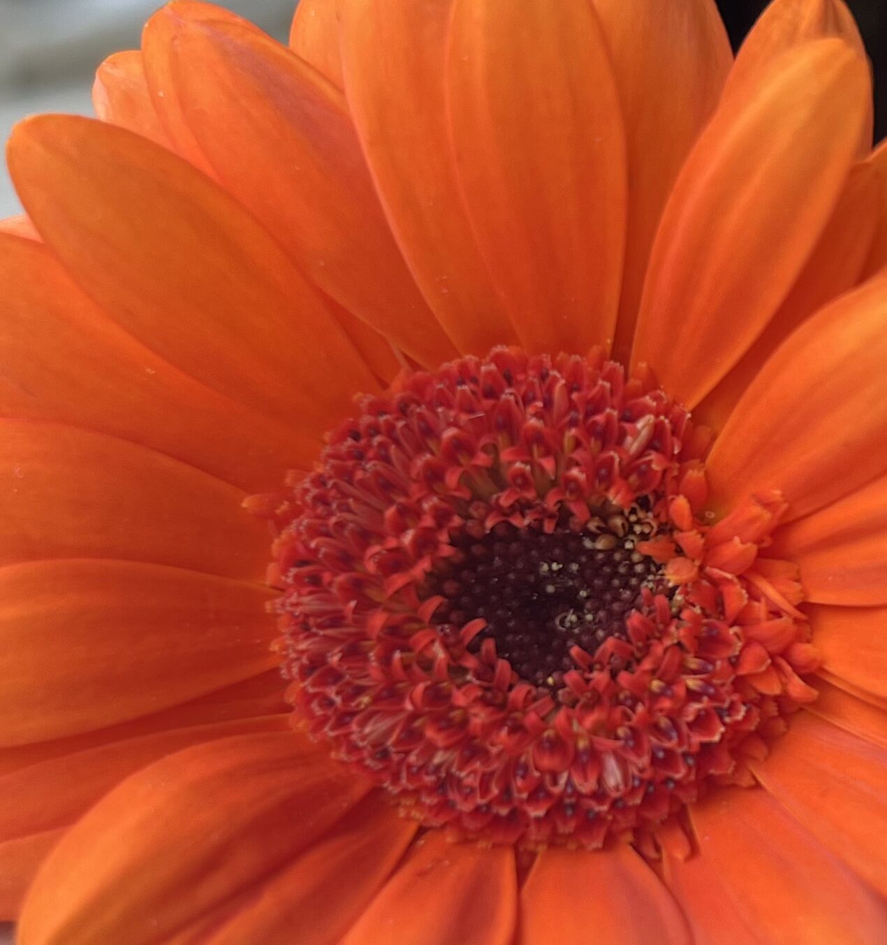 Liebe ist das Gegenteil von Macht